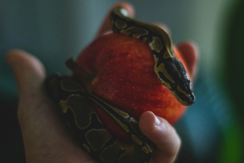 a hand holding an apple with a snake on it